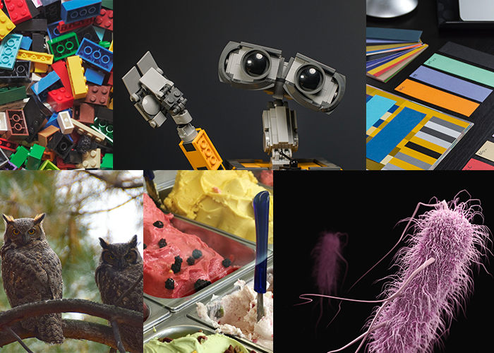 Collage of STEM images.