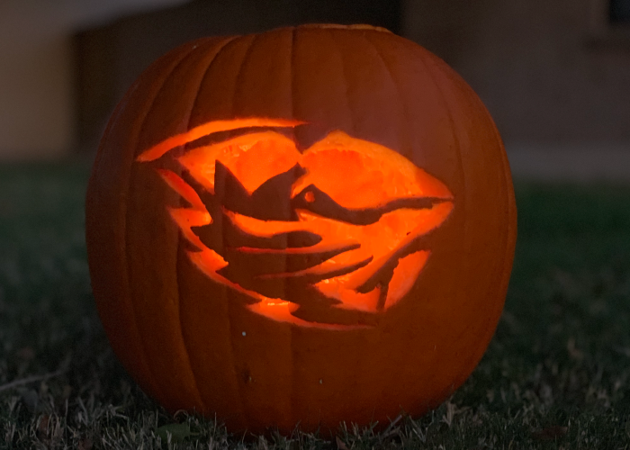 Pumpkin carved with Beavers logo [ictured at night