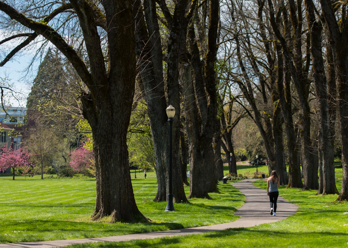 OSU campus with grass and student walking