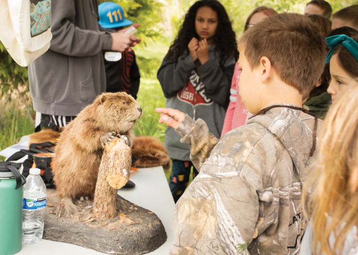 Group of children view a display with taxidermy beaver