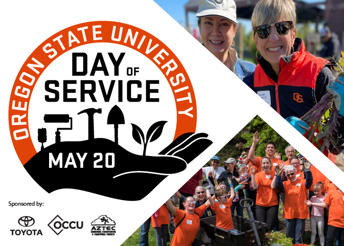 Day of Service logo