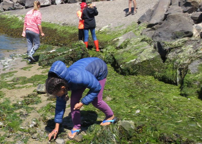 Children on mossy rocks.