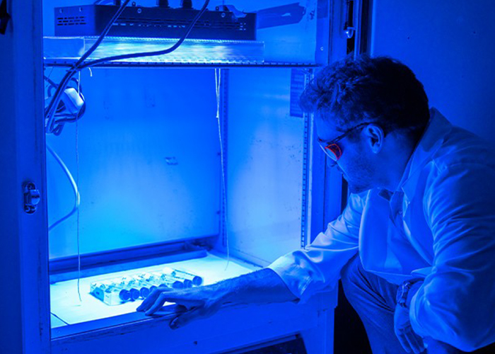 Scientis wears pretective equipment while vieing vials under a blue light in a lab