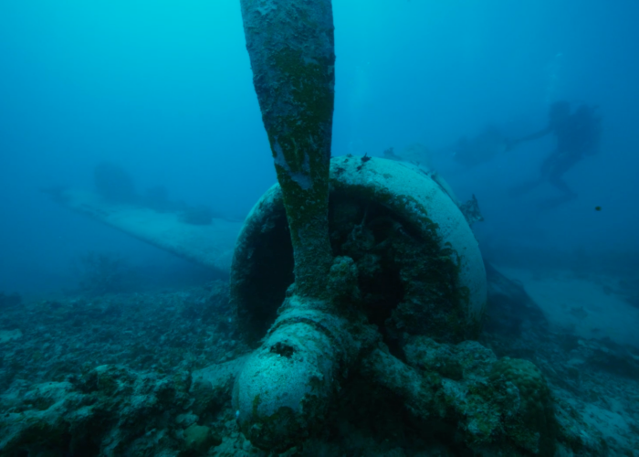 SCUBA diver examing wreckage underwater