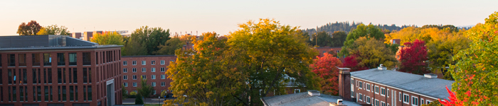 Photo showing a section of Corvallis campus in fall from the top of a building